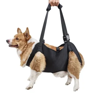 LiftBuddy Tilharnas Voor Honden – Verstelbare Mobiliteit & Revalidatie Sling