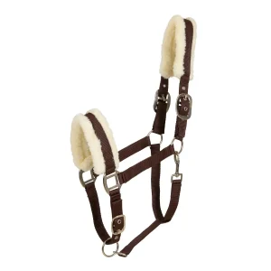 Cavalli Teddy Grime - Schokolade